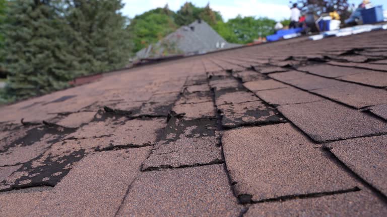 Best Green or Eco-Friendly Roofing Solutions  in Stanleytown, VA